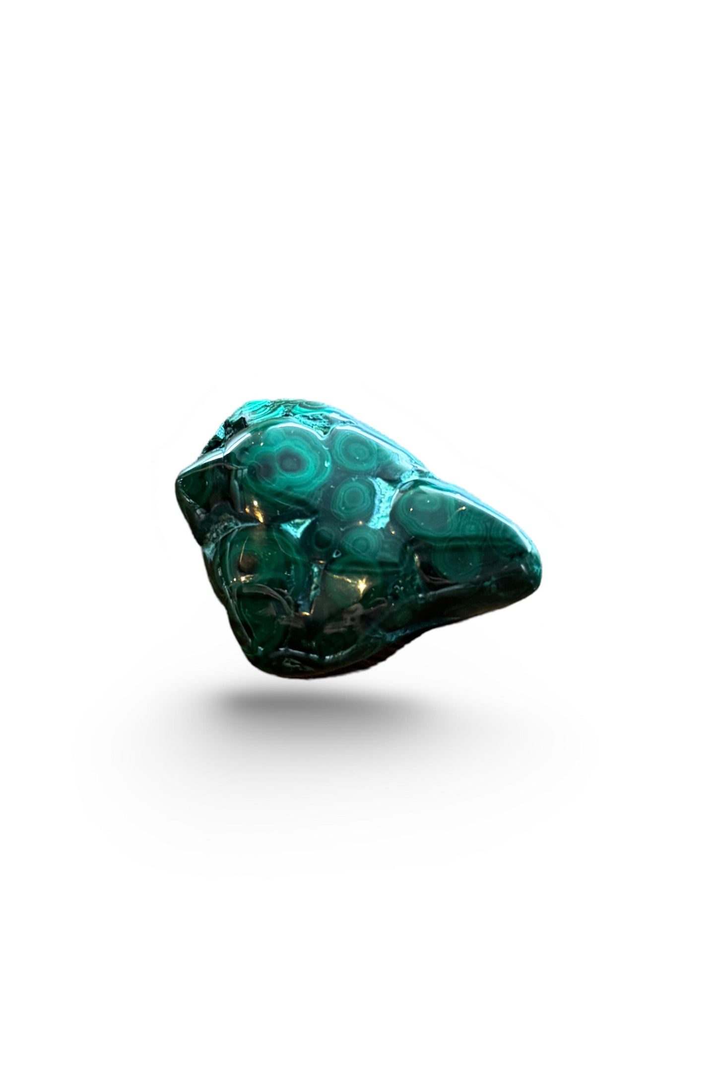 Polished Malachite (Congo)