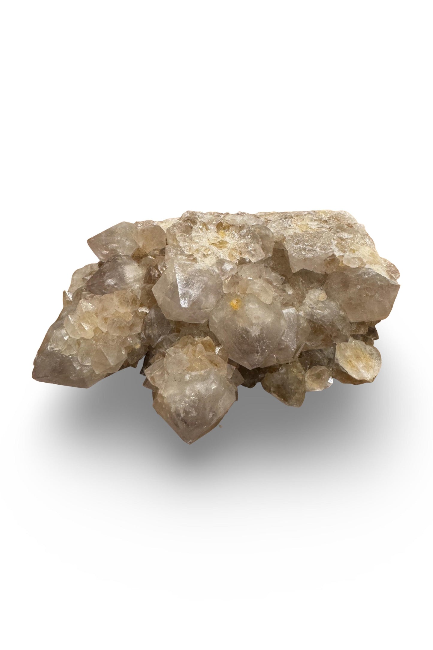 Ametrine (amethyst + citrine) Spirit Quartz (South Africa)