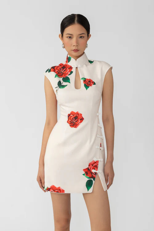 Raya Rosa Mini Dress (White)