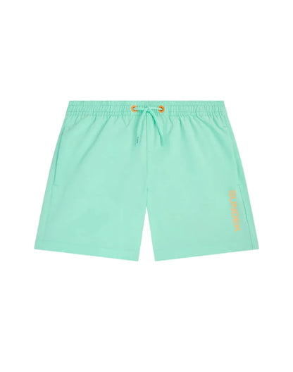 Boardshorts