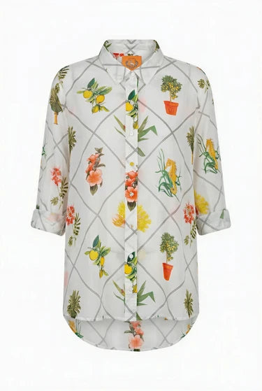 Classic Button Down