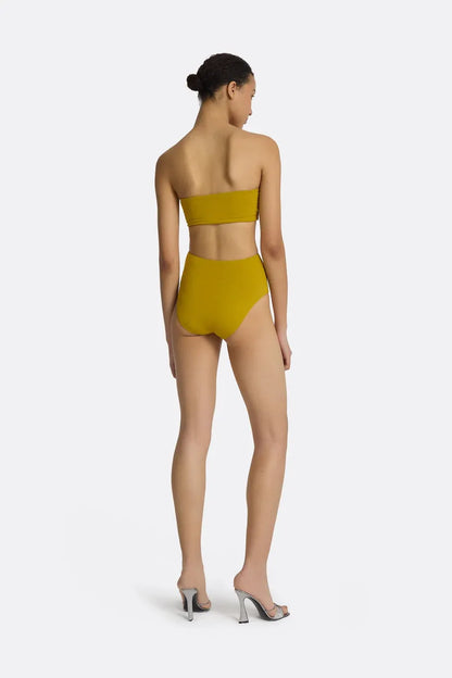 Gisellea Chartreuse Bikini Bottom