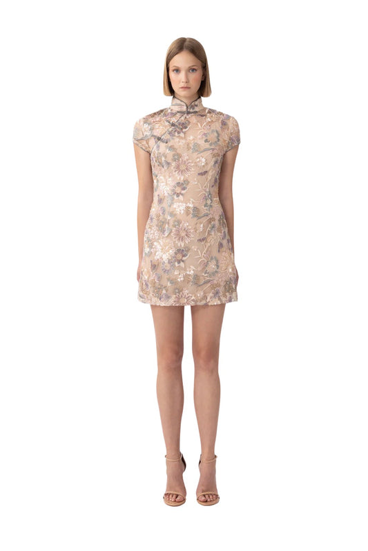 Xixi Mini Dress