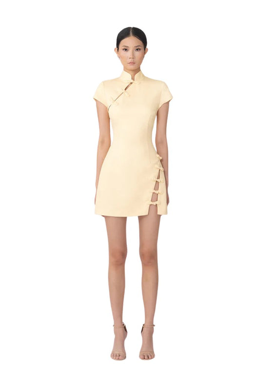 Iris Mini Dress