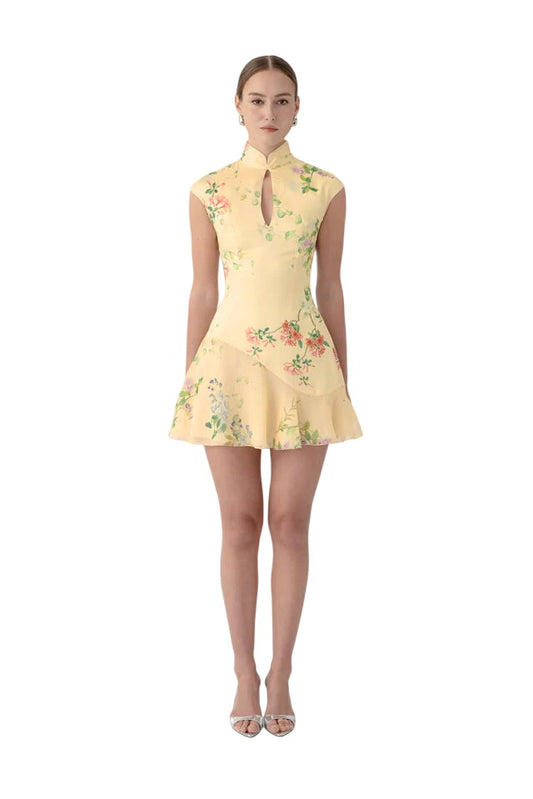 Lili Mini Dress