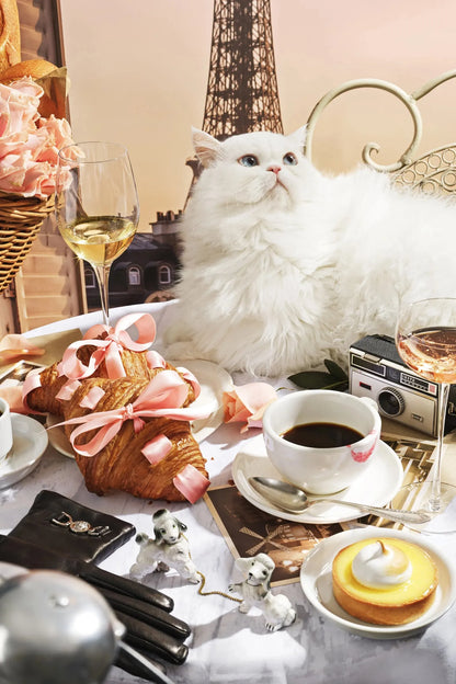 Pardon Puzzles - 1000