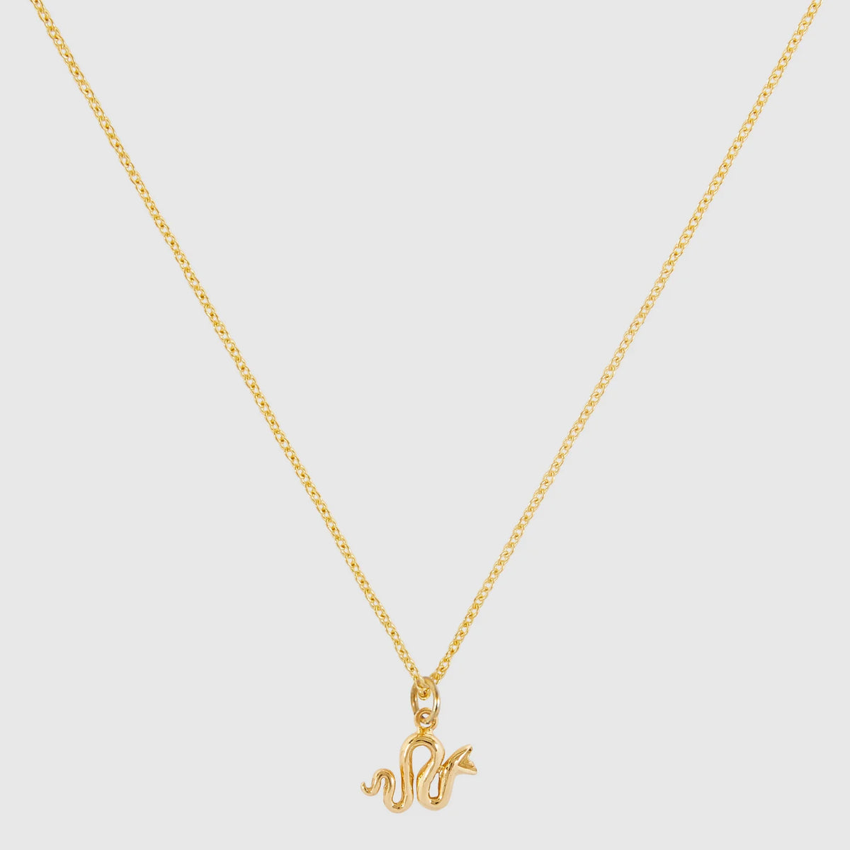 Animal Pendants (Serpent)